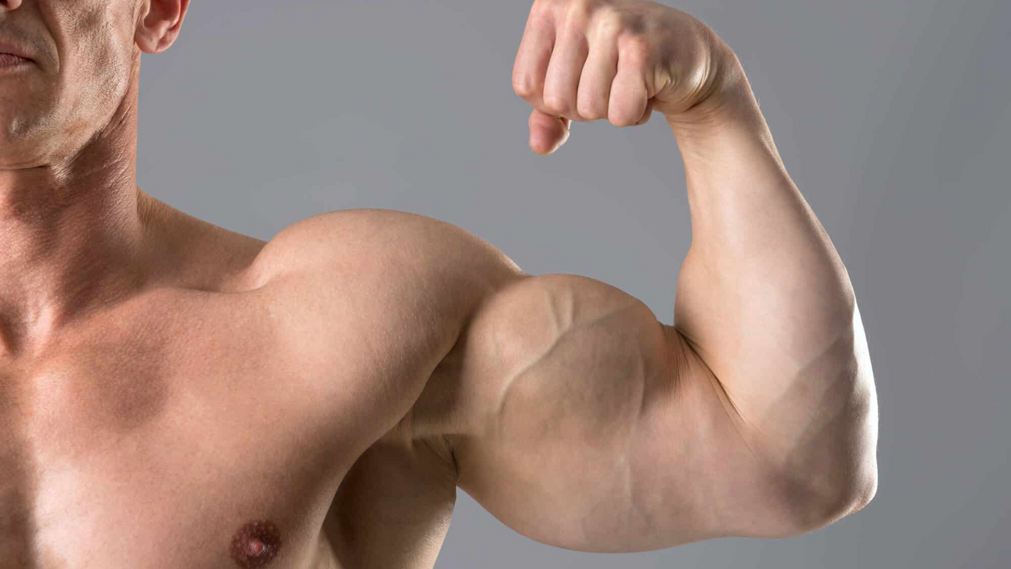 T-BOOST (Testosterone Booster) BUILD LEAN MUSCLE MASS !